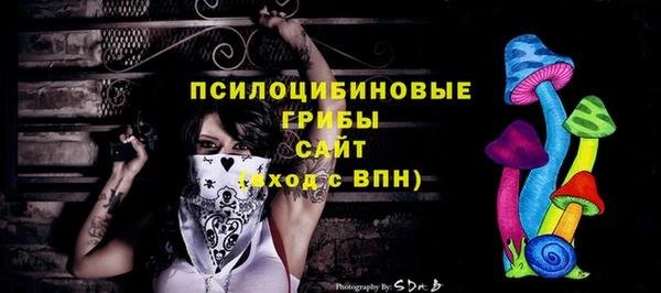 MDMA Богородицк