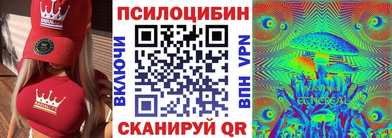 закладки  Мончегорск  Псилоцибиновые грибы GOLDEN TEACHER 