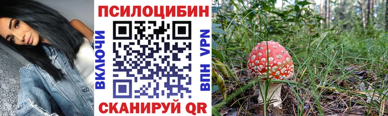 Псилоцибиновые грибы Cubensis Мончегорск